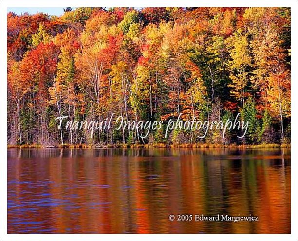 450213---Red Jack Lake autumn reflections